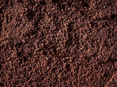 Fresh agricultural produce for export